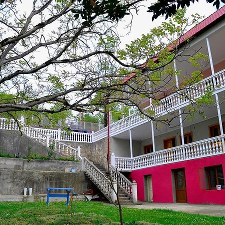Sofia Guest House Kutaisi Bagian luar foto