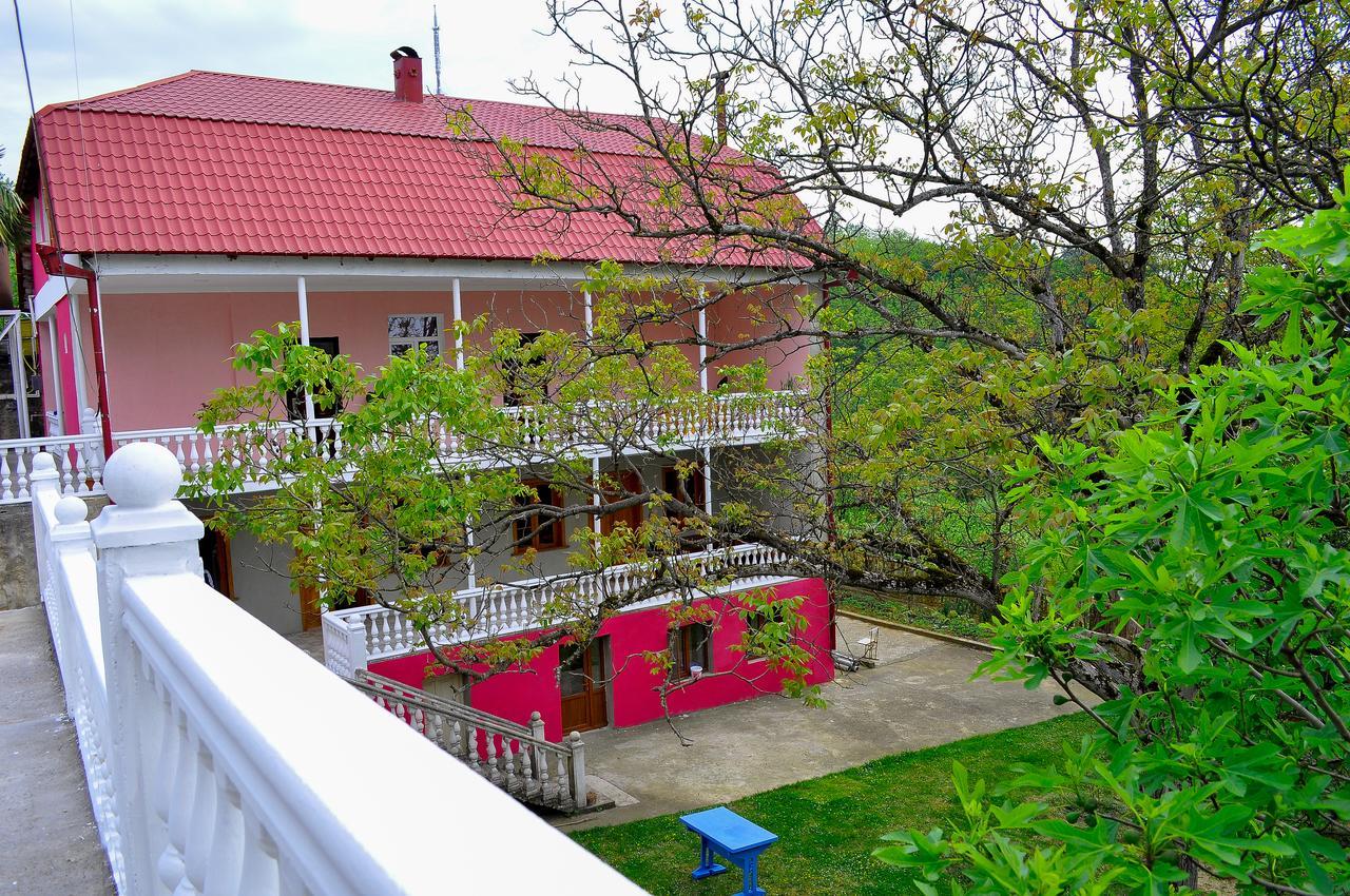 Sofia Guest House Kutaisi Bagian luar foto