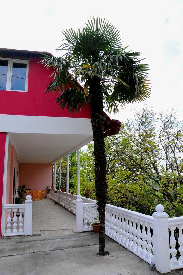 Sofia Guest House Kutaisi Bagian luar foto