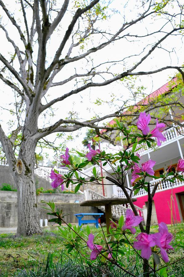 Sofia Guest House Kutaisi Bagian luar foto